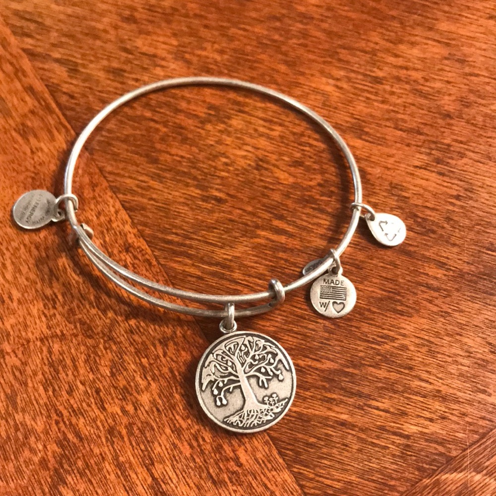 Alex and Ani tree of life bracelet